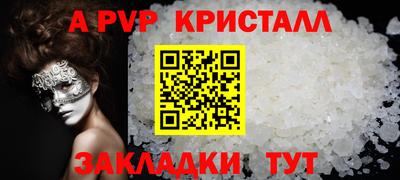 стафф Гай