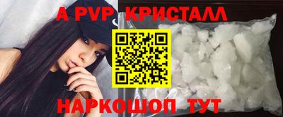 стафф Гай