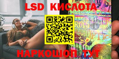 стафф Гай
