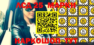 тгк Гатчина