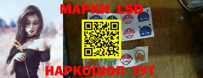 стафф Гай