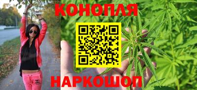 спайс Гагарин