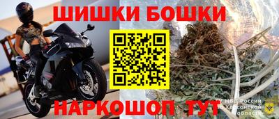 стафф Гай
