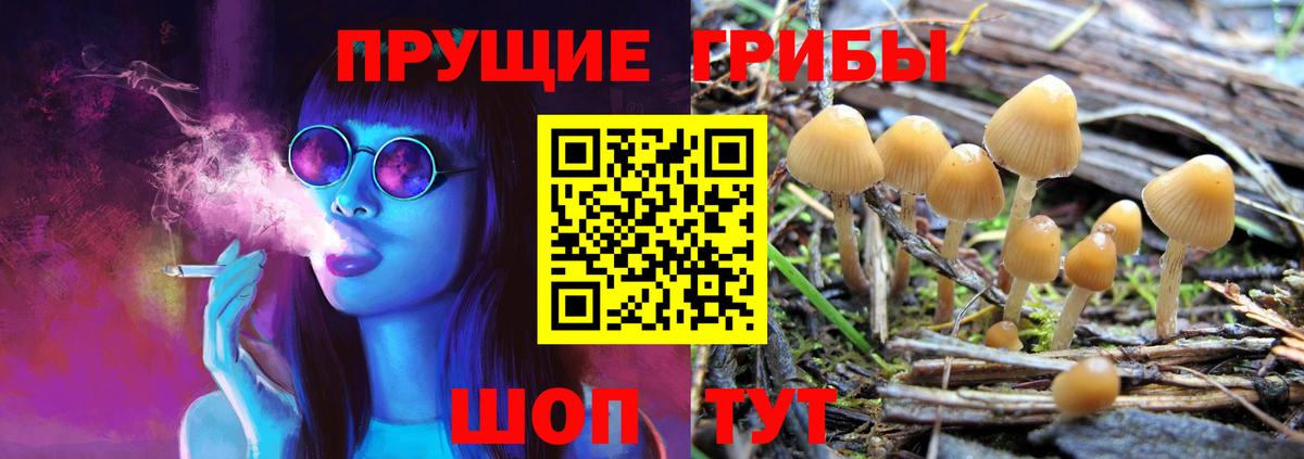 Псилоцибиновые грибы мицелий Севастополь